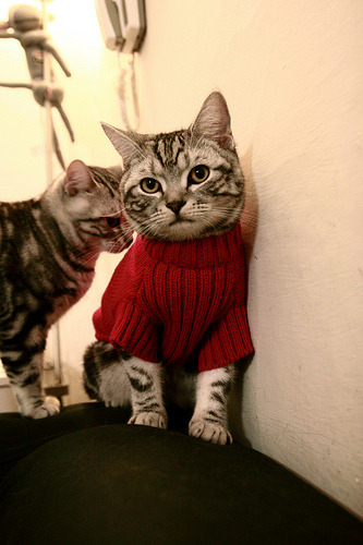 红土圣殿中的高光，西西帕斯在蒙特卡洛的超越之旅