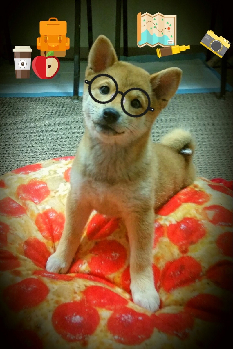 抢在数学之前，哈斯如何用一场意外翻盘小红牛