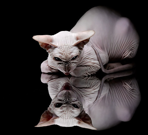 红土硬骨，铁血纪录，穆雷跨越时空的意志之战