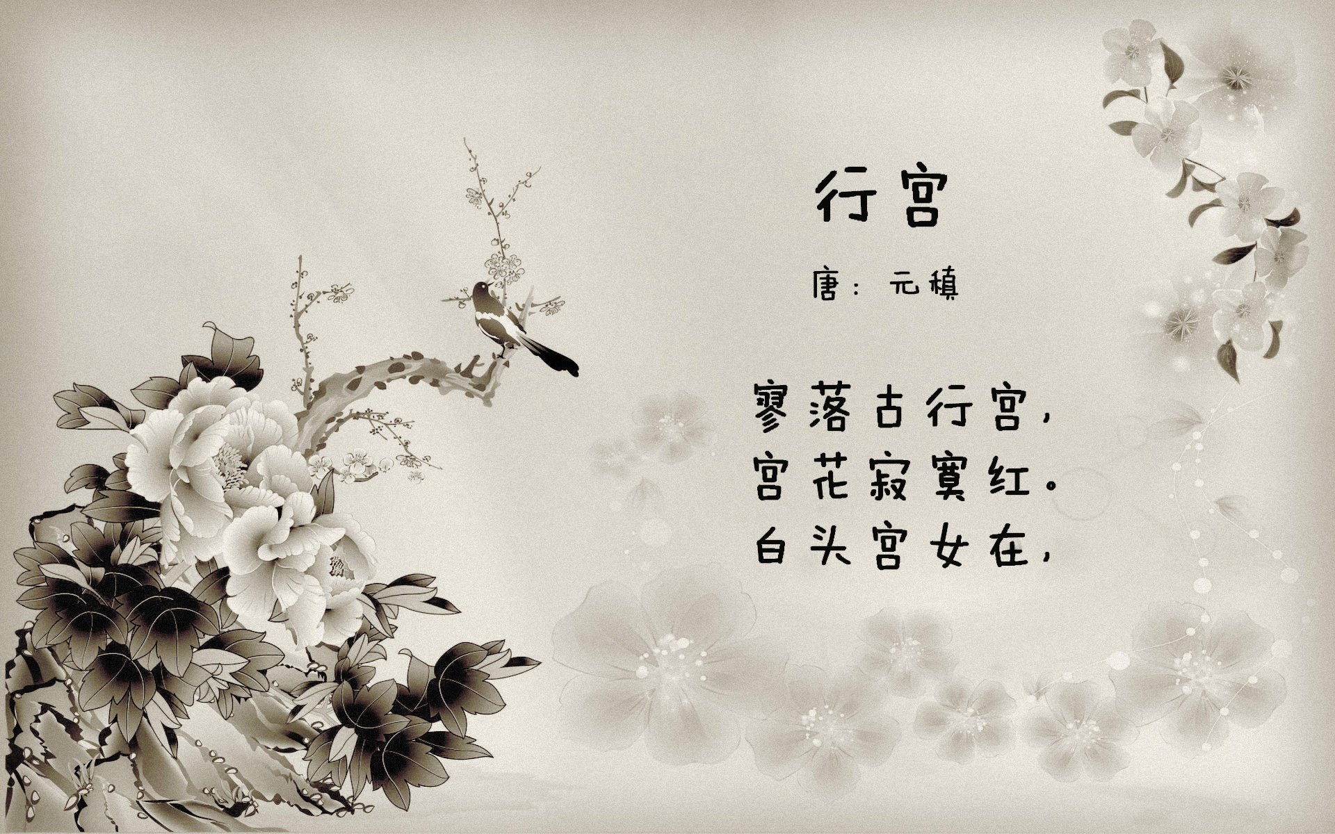 手术刀与体系，当奥斯梅恩的野性刺穿曼城的精密齿轮