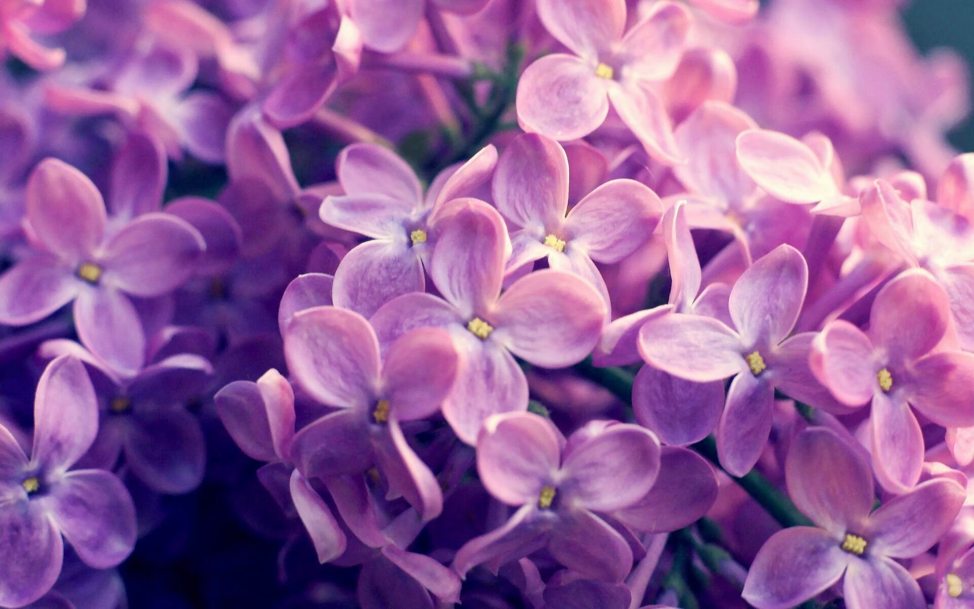 血洗五棵松！北京狂胜广厦创纪录，伦纳德末节惊魂主宰胜负