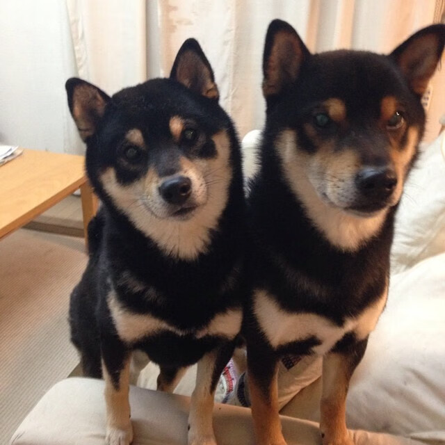 爱德华兹的独舞，当节奏成为武器，火箭击穿吉林的夜晚