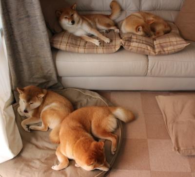 我根据你提供的关键词，构思了几个不同角度的标题方案，每个都力图在唯一性上做出突破