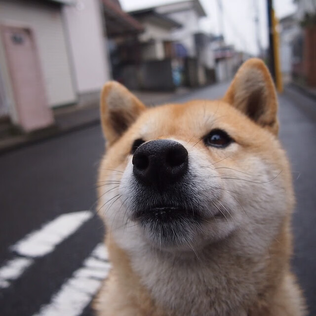 平行宇宙的篮球狂想，新疆队完胜火箭，乔治成关键先生
