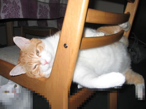 宇宙唯一，武切维奇如何让欧冠半决赛之夜成为自己的恒星诞生瞬间