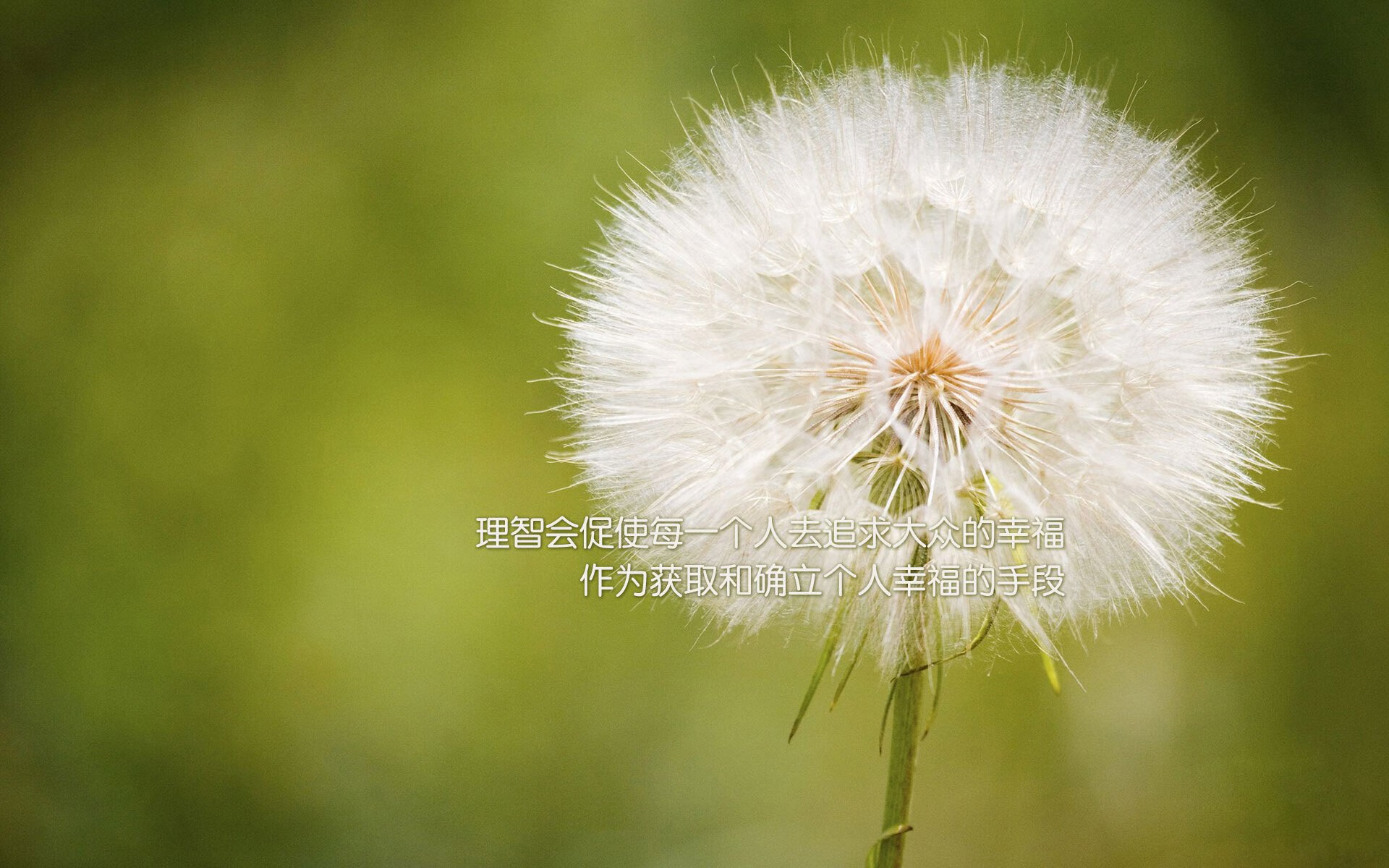 爱游戏-跨界碰撞！鹈鹕强行终结吉林队连胜，神奇哈利伯顿打疯主宰赛场