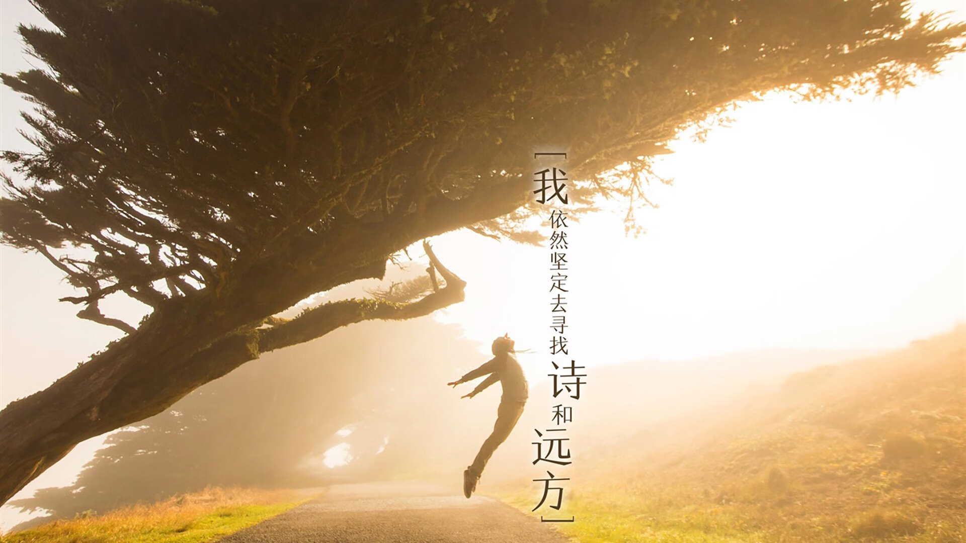 波斯铁骑的绝唱,佩德里导演B组生死战,伊朗逆转喀麦隆创世界杯神话