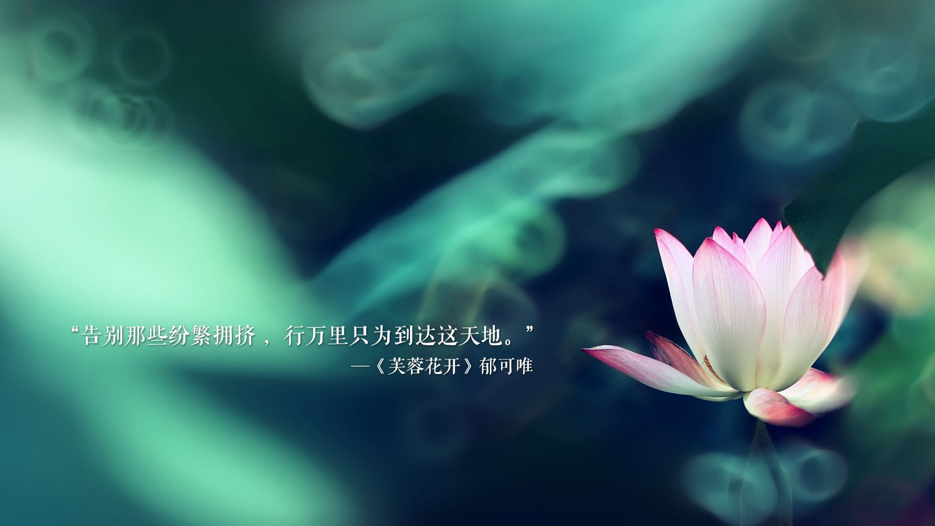 沙漠奇迹还是足坛狂想?2026世界杯A组,印度横扫罗马尼亚,贝林厄姆独舞世纪之战